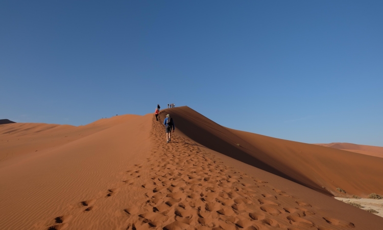 4-Day Sossusvlei & Sandwich Harbour Tour - Namibia's Desert & Coastal Highlights