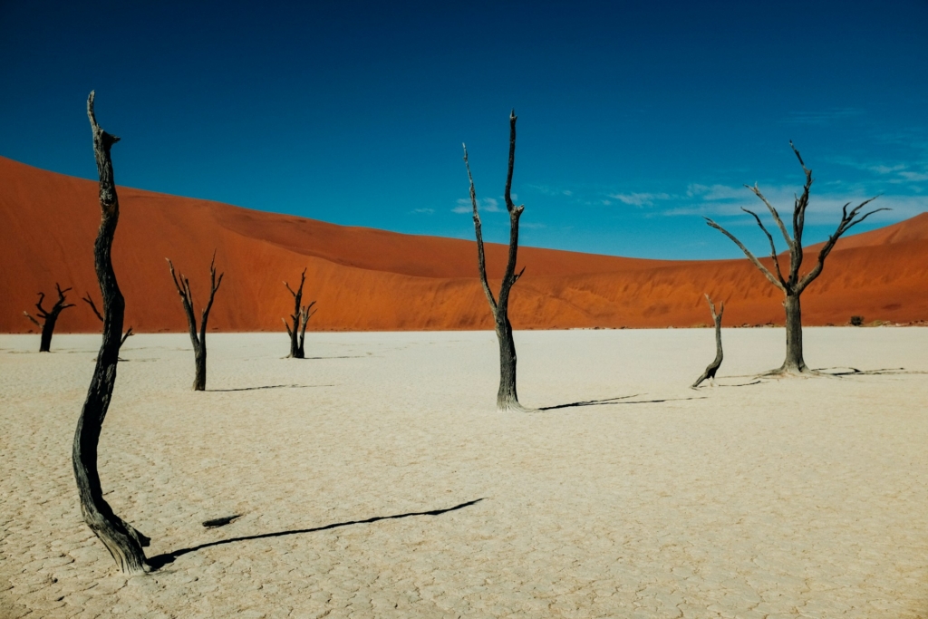 6-Day Namibia Safari Highlights