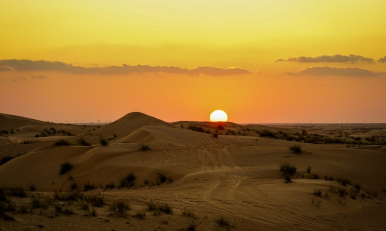 Sandwich Harbour Sunset Tour – 4-Hour Desert Sunset Experience