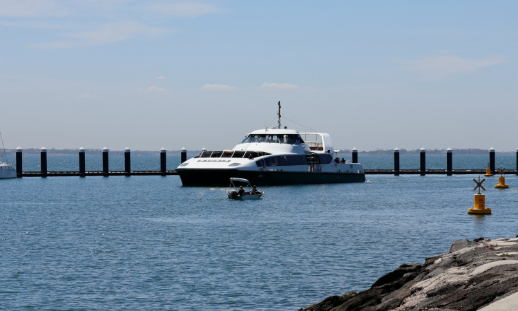 1-Day Sandwich Harbour & Boat Cruise Experience