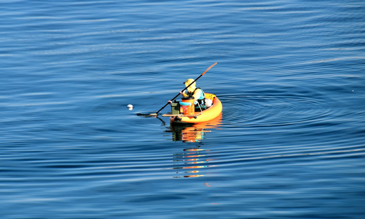 1-Day Seal Kayaking & Sandwich Harbour Tour